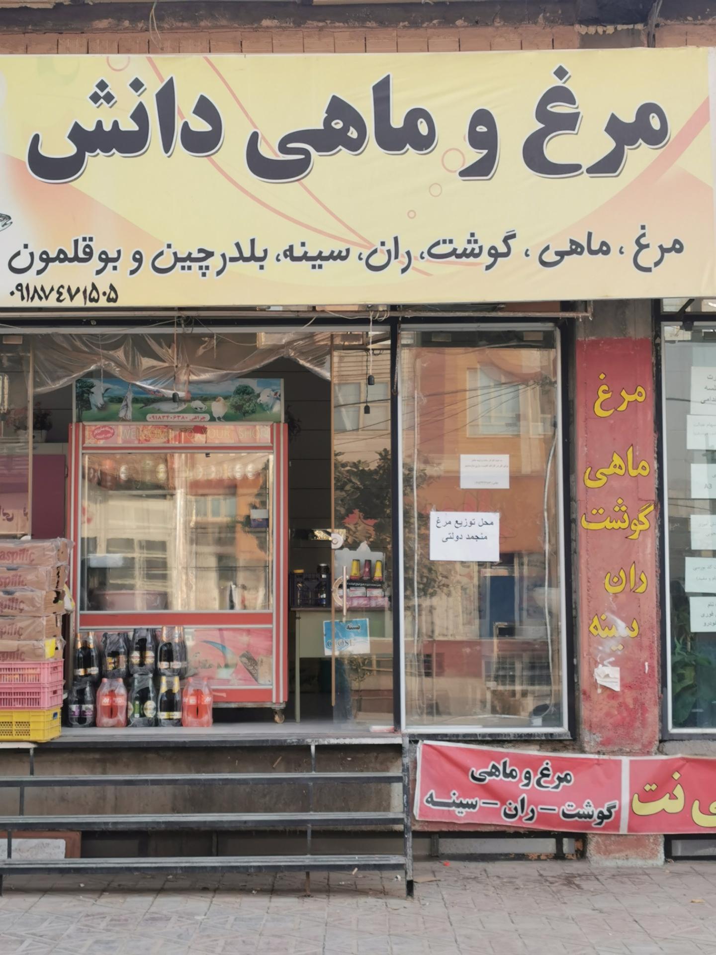 عکس مرغ و ماهی دانش