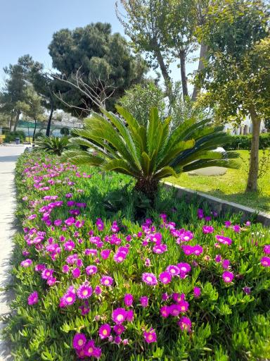 عکس مجتمع اقامتی وزارت بهداشت