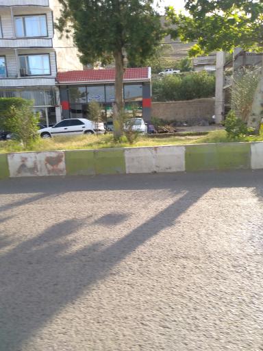 عکس اتومبیل رحیمی