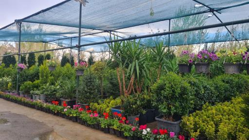 عکس نهالستان نشاط