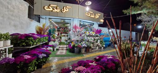 عکس گل فروشی فدک