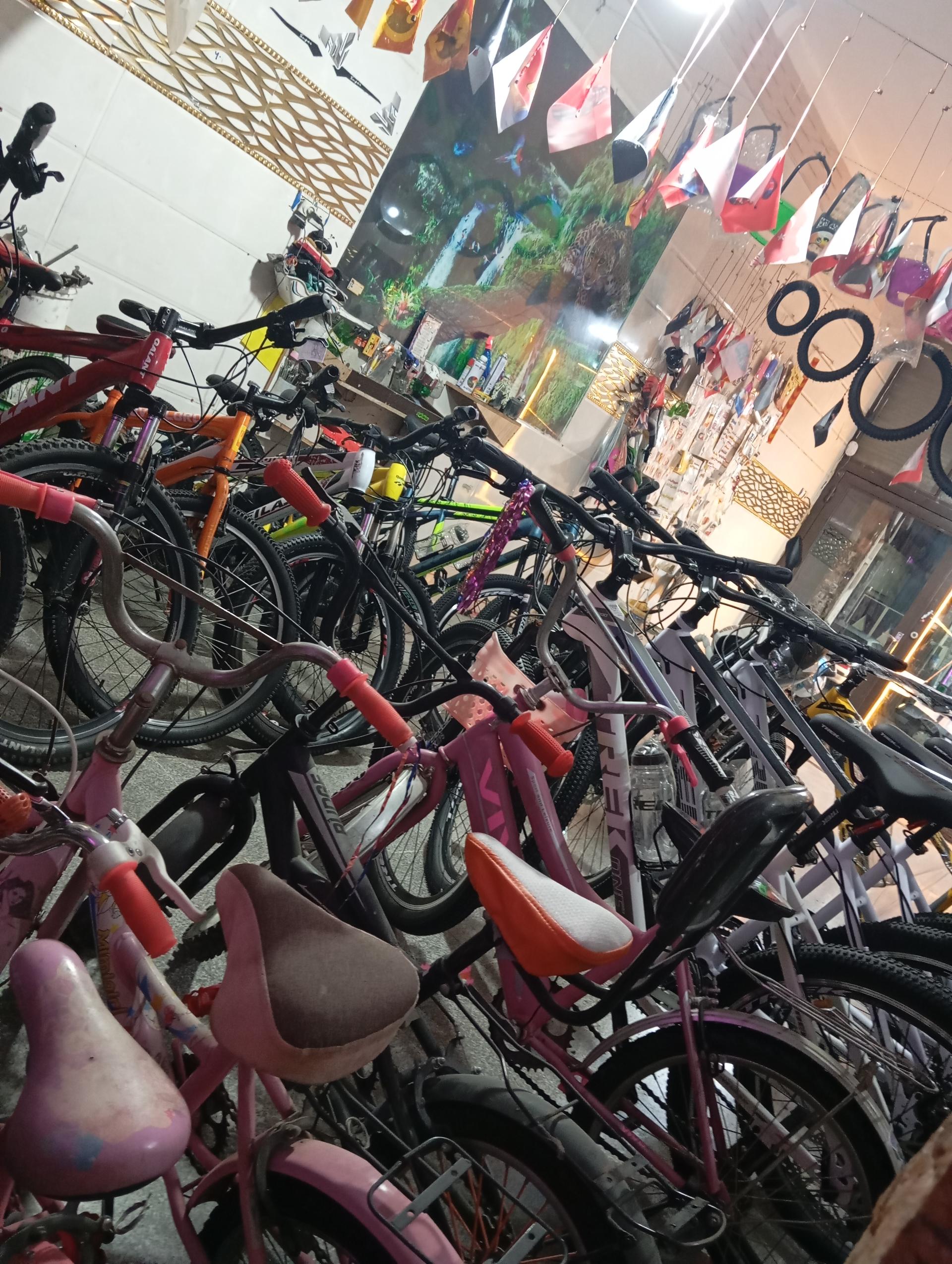 عکس دوخرچه تک سوار