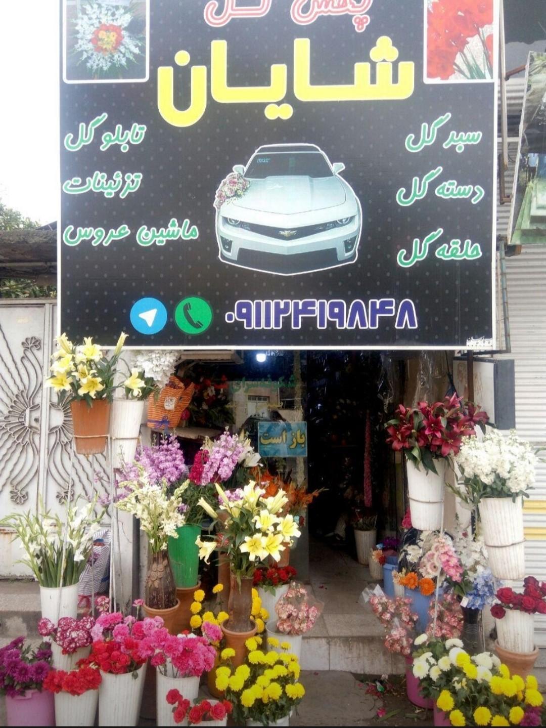 عکس گل فروشی شایان