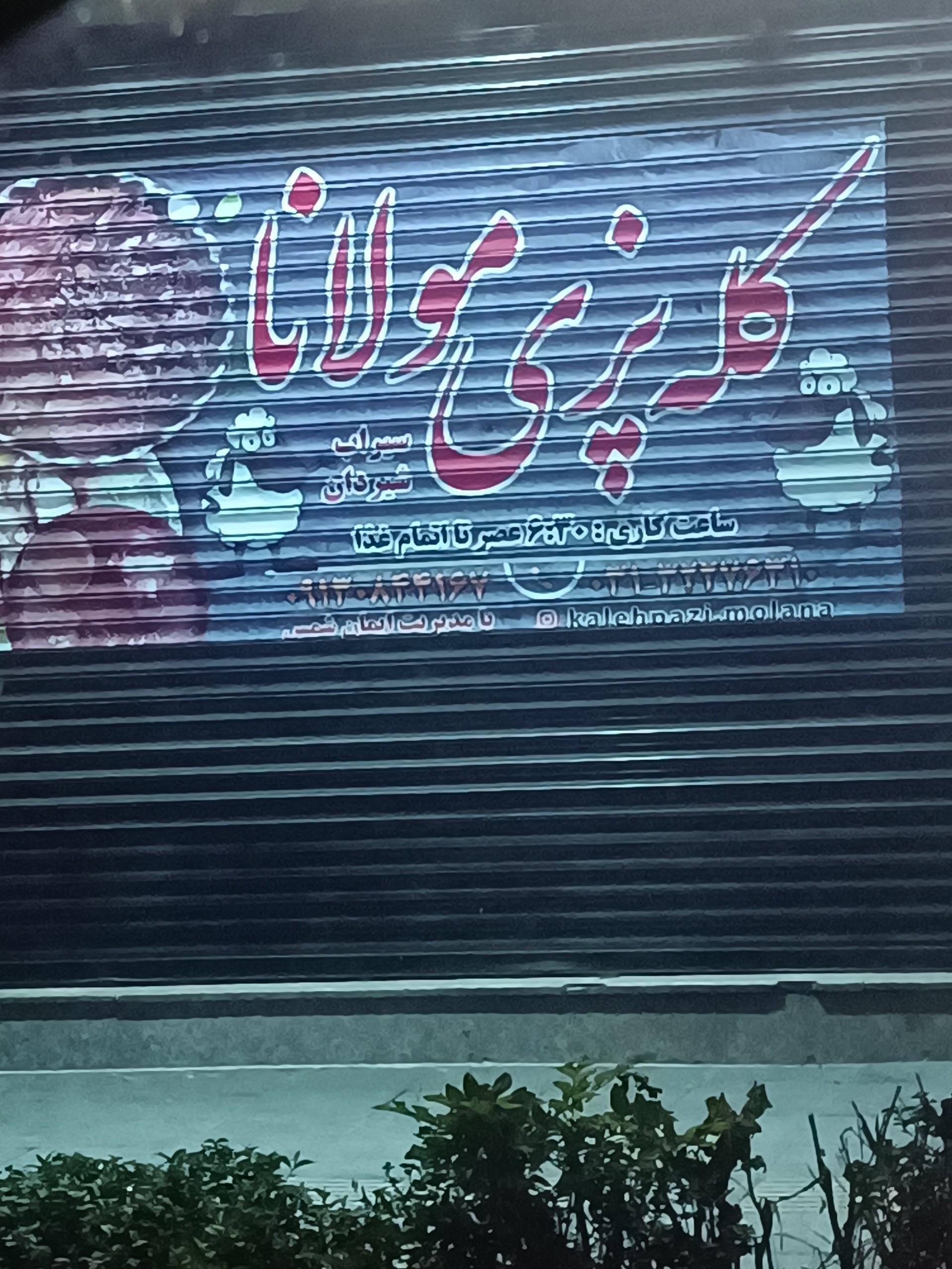 عکس کله پزی مولانا