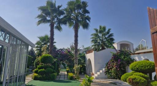 عکس باغ رز