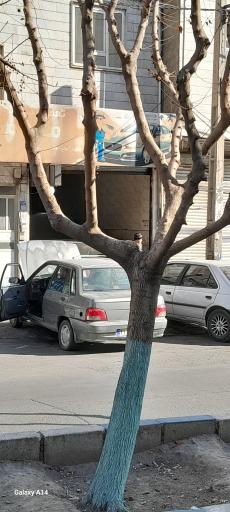 عکس مکانیکی موسی