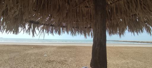 عکس پارک ساحلی بندر امام حسن