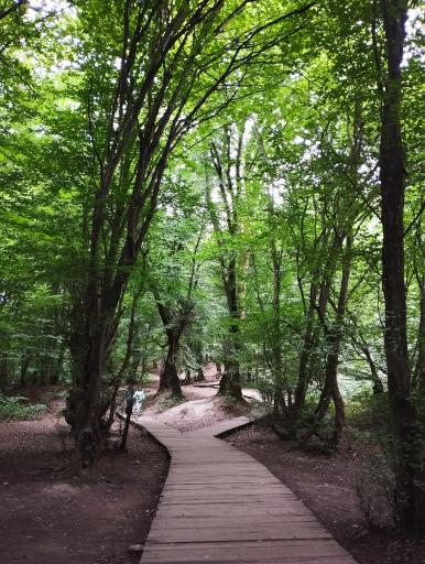 عکس النگدره