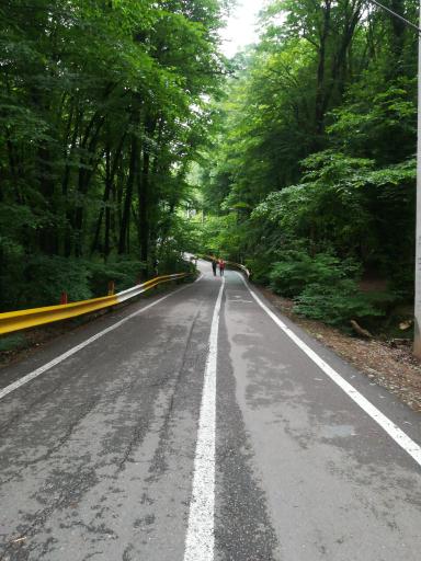 عکس النگدره