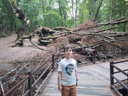 عکس النگدره