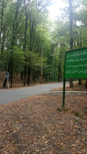 عکس النگدره