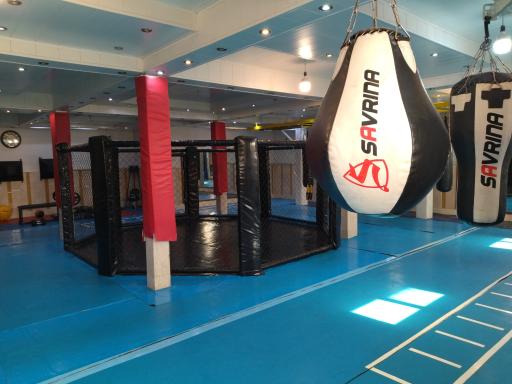 عکس آکادمی ورزشهای رینگی