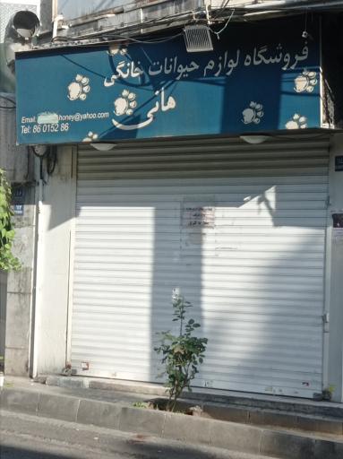 عکس پت شاپ هانی