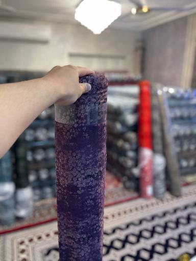 عکس گالری سرفراز