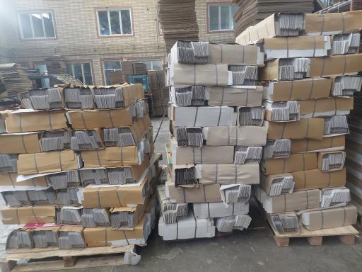 عکس کارتن سازی آیدا