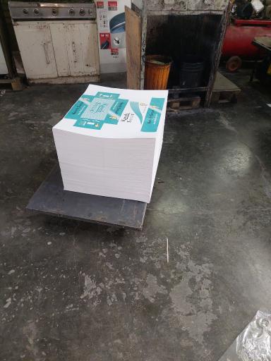 عکس کارتن سازی آیدا