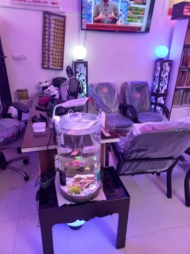 عکس مرکز آموزش علمی و موسسه زبان کیش