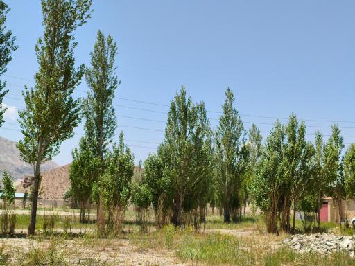 عکس مجتمع کوه نور