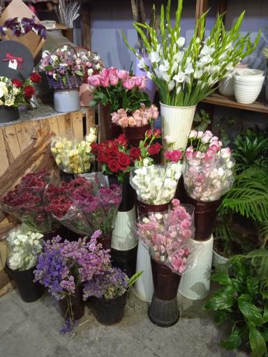 عکس گلفروشی مینا