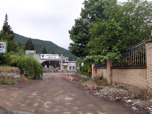 عکس دانشگاه آزاد اسلامی واحد سوادکوه