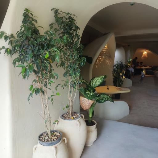 عکس Bergamot Cafe