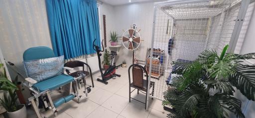 عکس فیزیوتراپی سلیمی