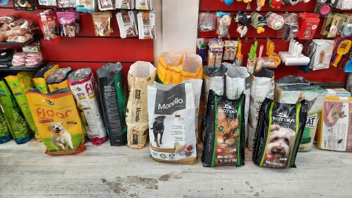 عکس پت شاپ رنگو