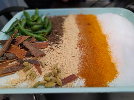 عکس طباخی اوریال