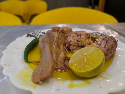 عکس طباخی اوریال