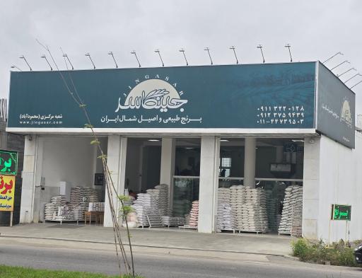 عکس برنج جینگاسر 