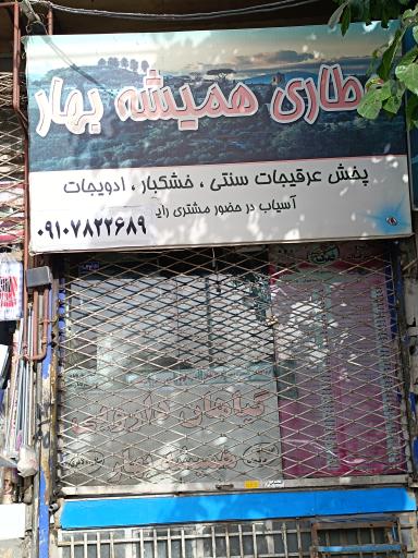 عکس عطاری همیشه بهار