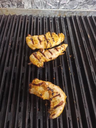 عکس فست فود ملنگو