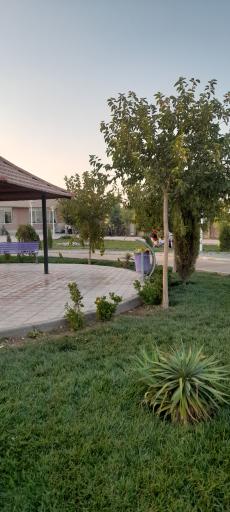 عکس بوستان بانوان خورزوق