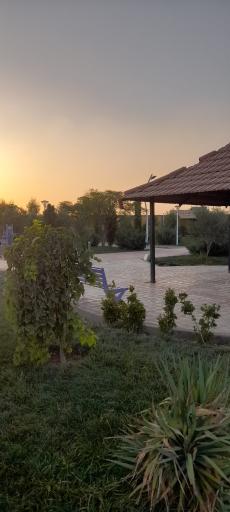عکس بوستان بانوان خورزوق