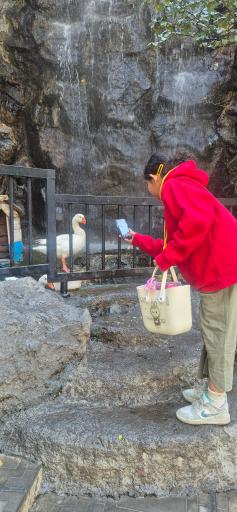 عکس تفریحگاه و رستوران شب های عنبران