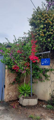 عکس سائیج محله