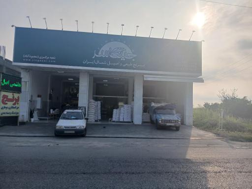 عکس برنج جینگاسر 