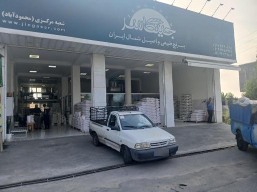 عکس برنج جینگاسر 