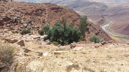 عکس چشمه سویدوخ