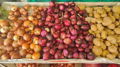 عکس میوه فروشی قادری 