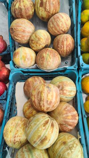 عکس میوه فروشی قادری 