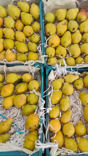 عکس میوه فروشی قادری 