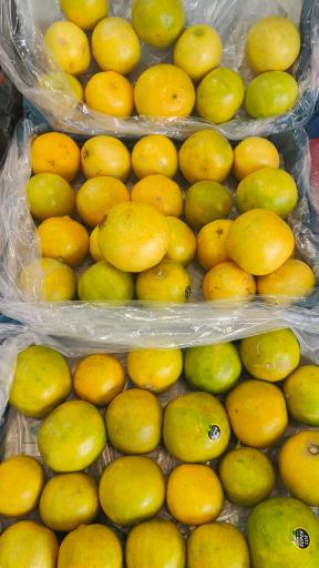 عکس میوه فروشی قادری 