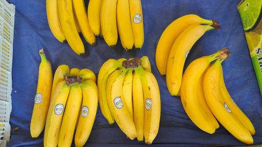 عکس میوه فروشی قادری 