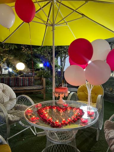 عکس باغ رستوران علی بابا