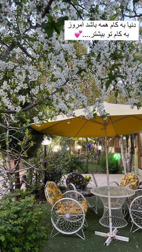 عکس باغ رستوران علی بابا