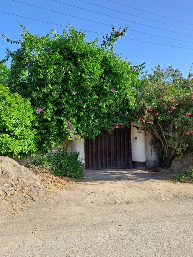 عکس گلکده ماه منیر 