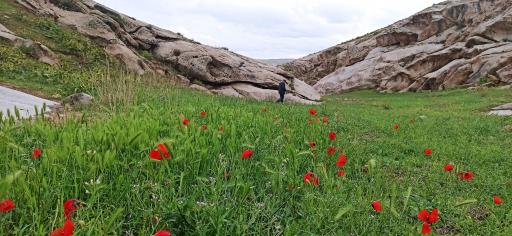 منطقه گردشگری هفت حوض