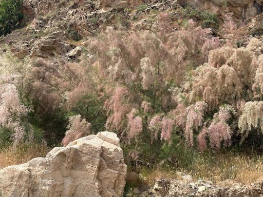 عکس منطقه گردشگری هفت حوض