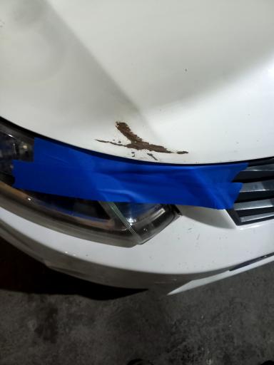 عکس صافکاری و نقاشی صداقت